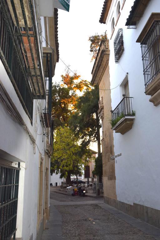 Centro Cordoba Apartaluz-8 Wifi Pk 객실 사진